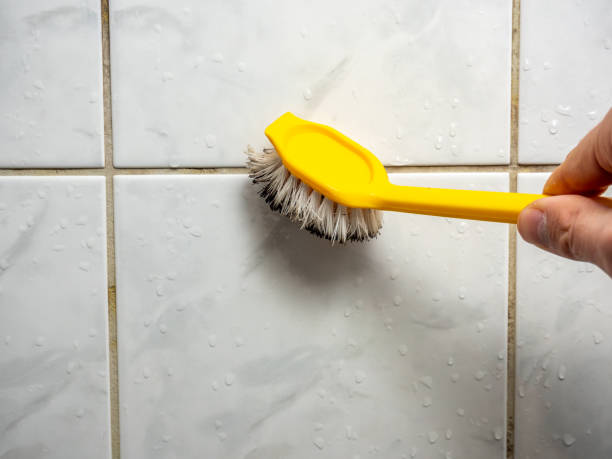 Best Attic Mold Removal  in Charlestown, IN