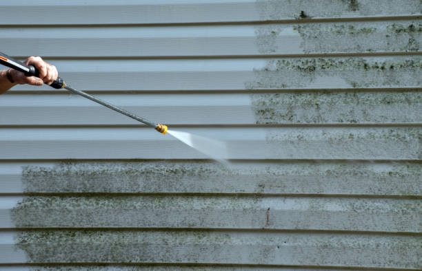 Best Fast Mold Removal  in Charlestown, IN