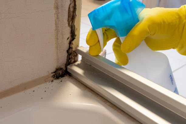 Best Mold Inspection  in Charlestown, IN