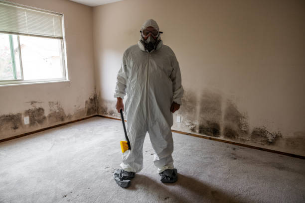 Best Office Mold Removal Services  in Charlestown, IN